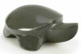 Polished Siltstone with Pyrite Turtle - Alaska #311893-1